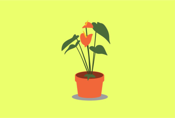 Anthurium Decorative Plants Vector: A Fresh Asset for Modern Design