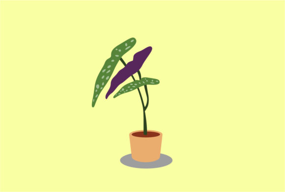 Begonia Decorative Plants Vector: Nature-Inspired Design Assets