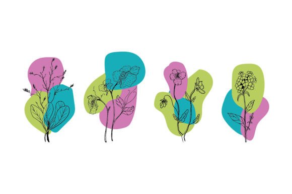 Floral Decorative Elements: Beyond a Simple Typeface