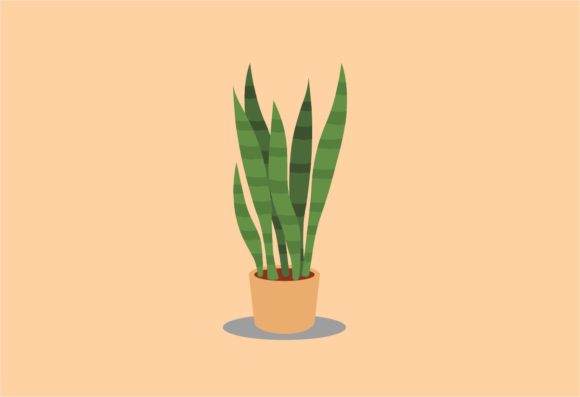 Sansevieria Decorative Plants Vector: Greenery for Your Designs